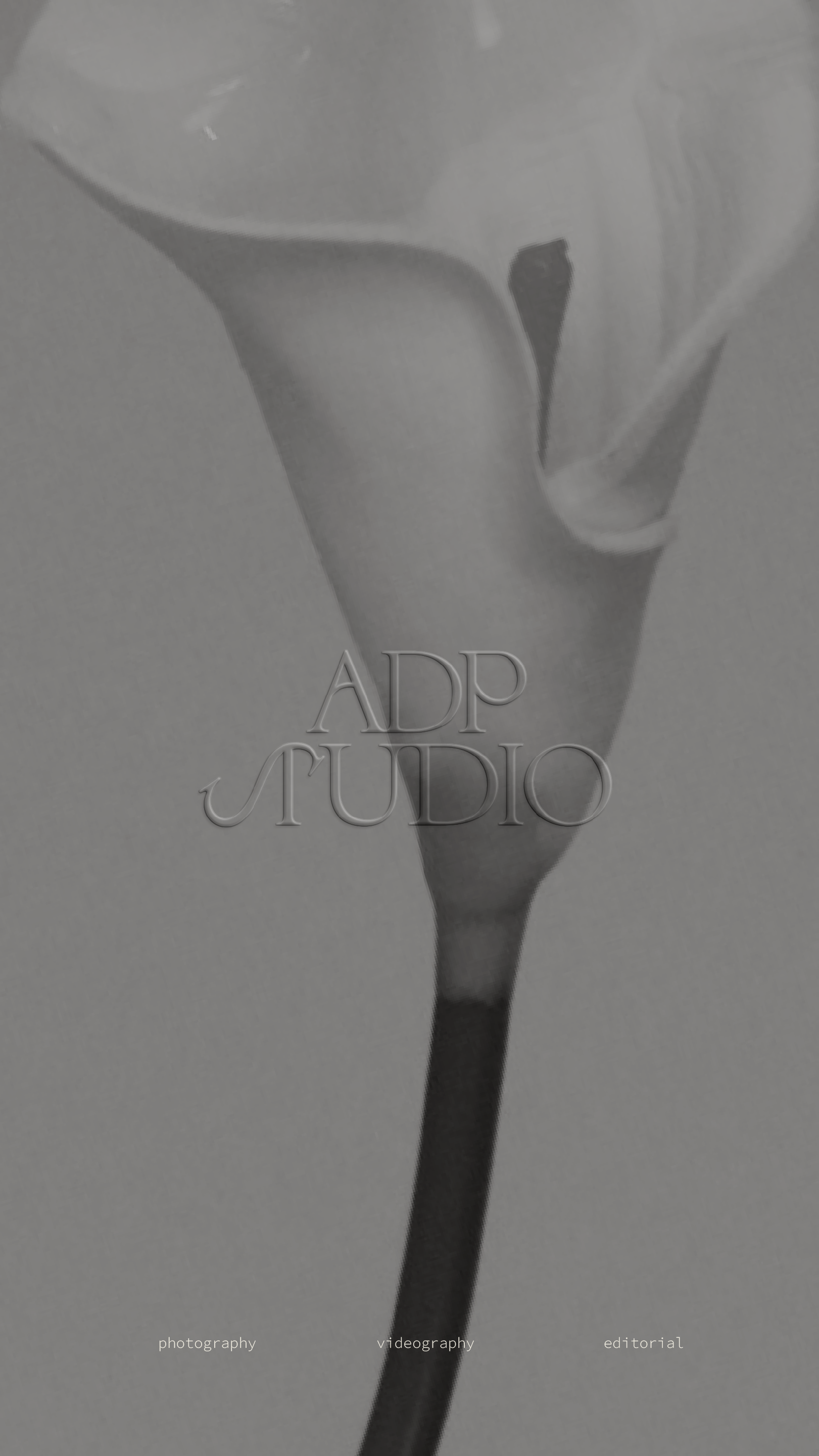 Artisanal Brand & Website Design