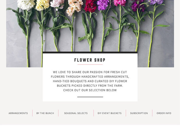 Custom Showit Website Design