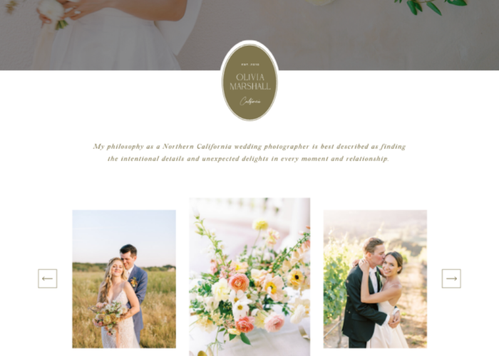 Website template customization