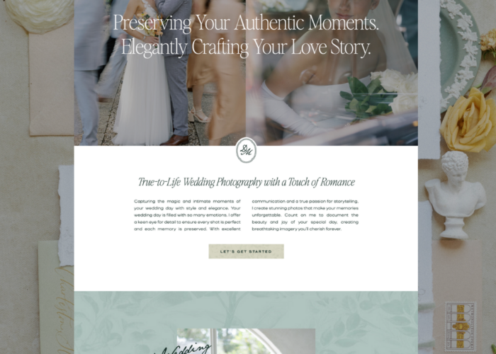 Website template customization