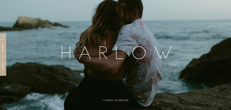 Minimalist Showit template showcasing a romantic couple by the ocean with clean typography.