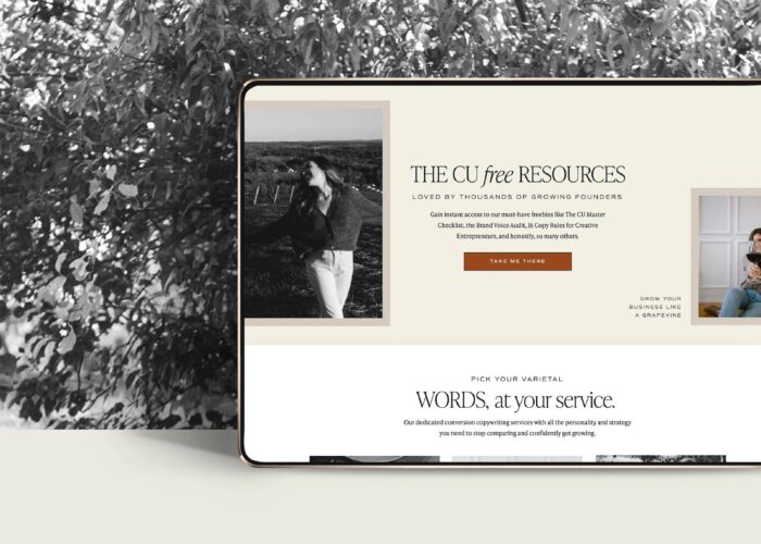 Showit Template Customization