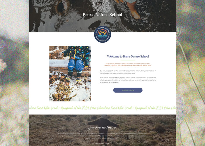 Custom Showit Website Design (6+ Pages)