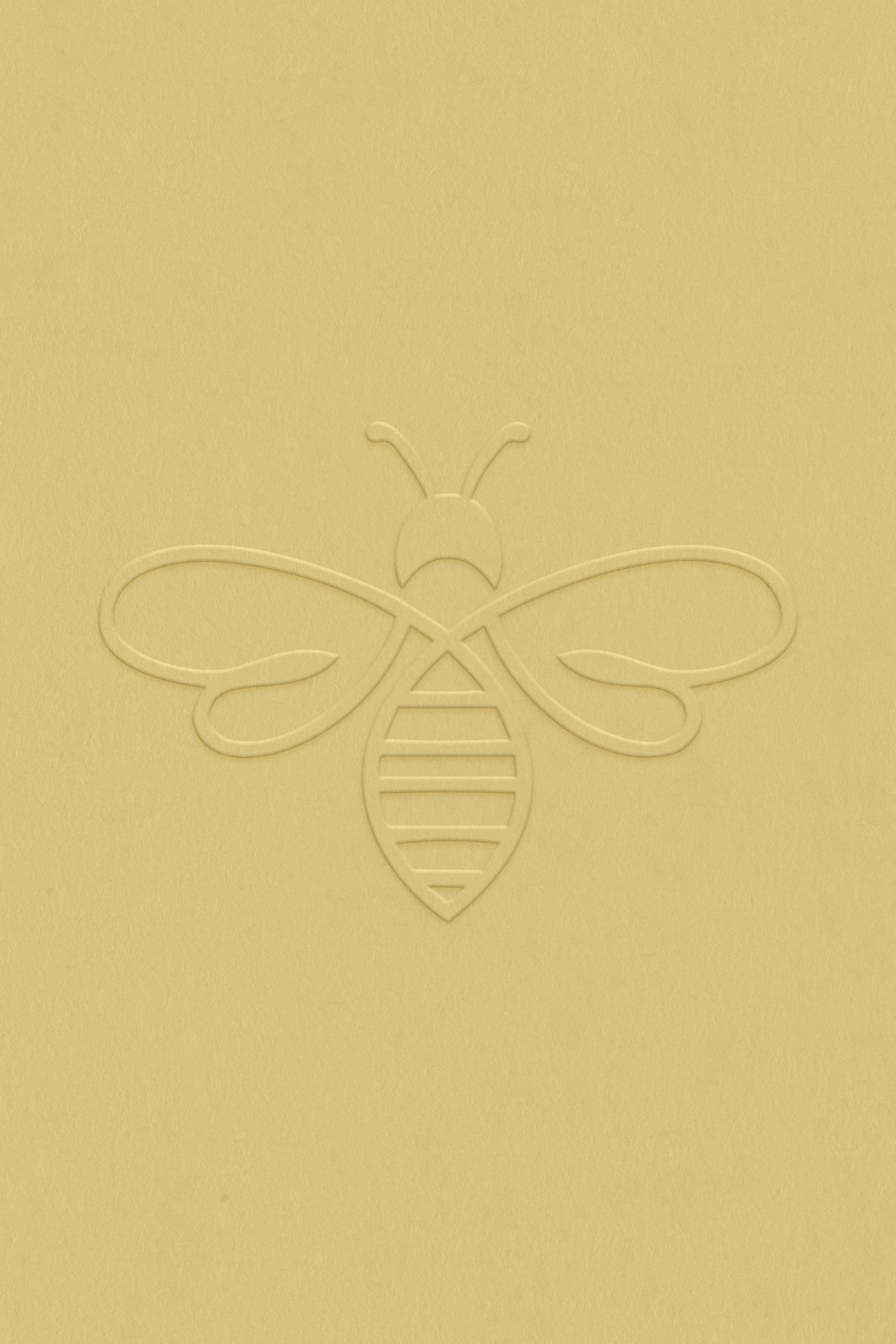 Brand Strategy and Design